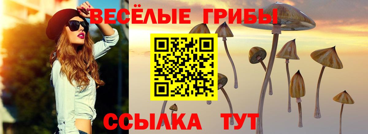 Псилоцибиновые грибы MAGIC MUSHROOMS Старая Купавна